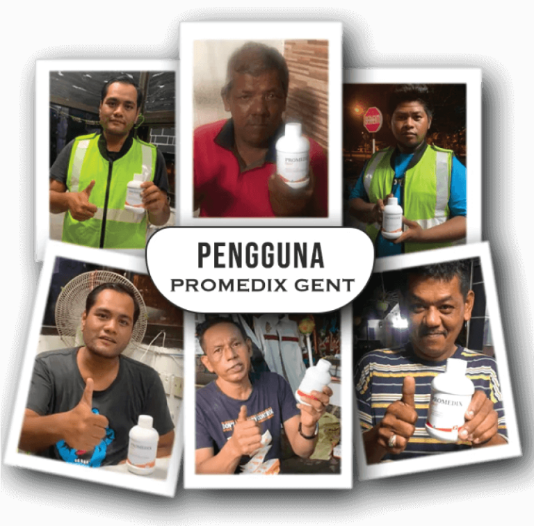 PENGGUNA-1--768x757.png